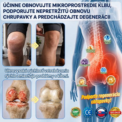 AMZKEEP® AMPK * Moringa * Berberín 10 v 1 – Metabolická podpora, 𝗖𝘂𝗸𝗿𝗼𝘃𝗸𝗮, 𝗦𝗽á𝗻𝗸𝗼𝘃é 𝗮𝗽𝗻𝗼𝗲,𝗣𝗿𝗼𝗯𝗹é𝗺𝘆 𝘀 𝗸ĺ𝗯𝗺𝗶 𝗮